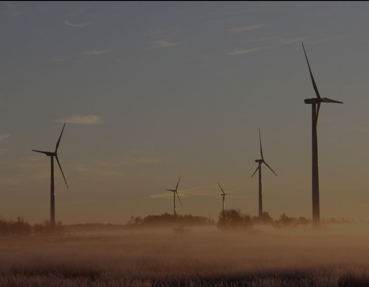 ����˹(886699-WNS��֤)���޹�˾����